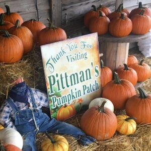 Pittman's Pumpkin Patch