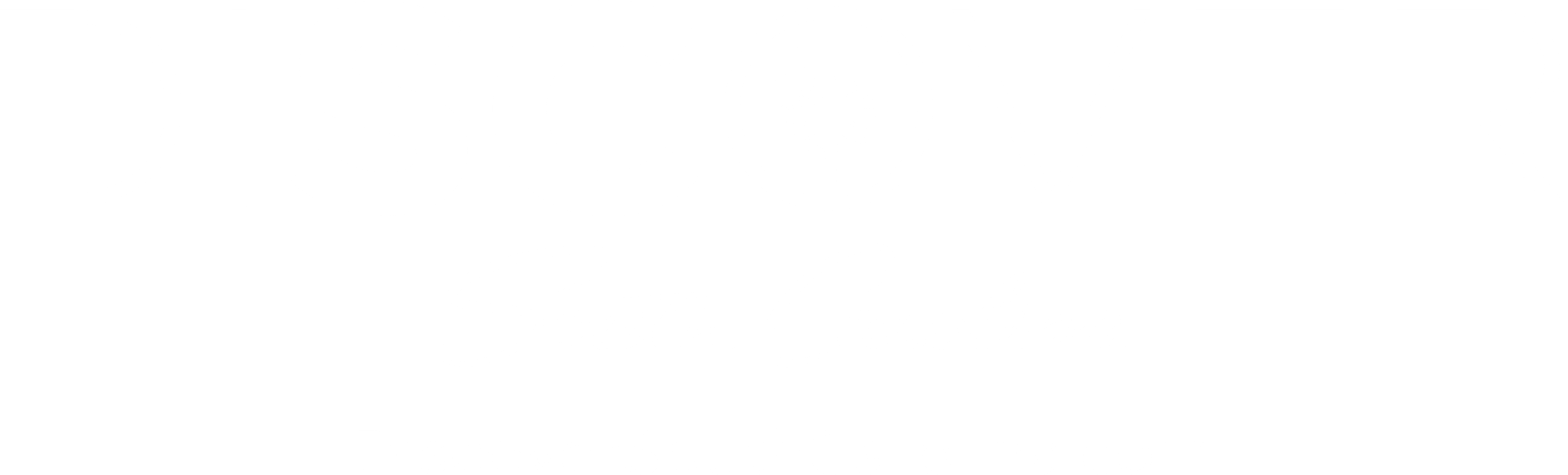 Discover SC White Logo